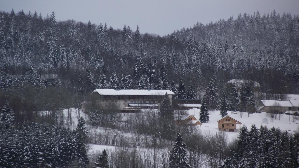 Hotel Le Grand Chalet Foncine-le-Haut Экстерьер фото